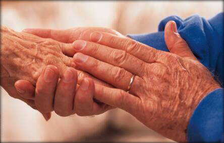 Immagine: foto di mani di anziano e giovane che si tengono