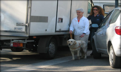 Immagine: persona cieca con cane e sua istruttrice
