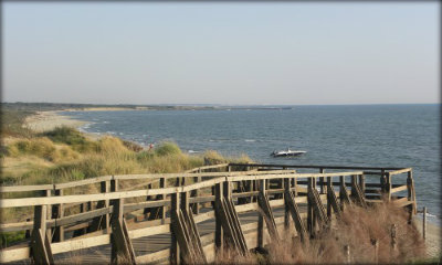 Immagine: foto passerella vicino al mare parco san rossore