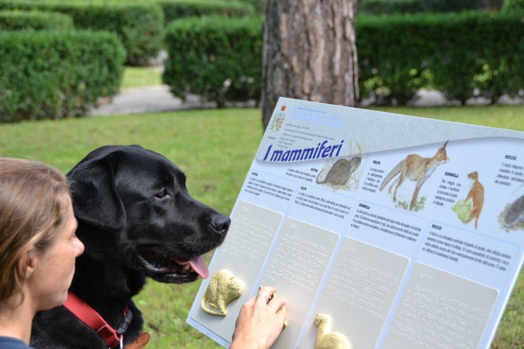 Cane e istruttrice provano una mappa tattile